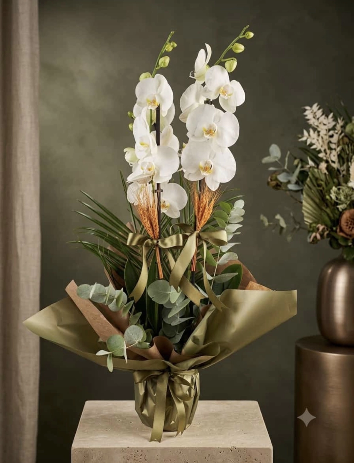 2 dal beyaz orkide