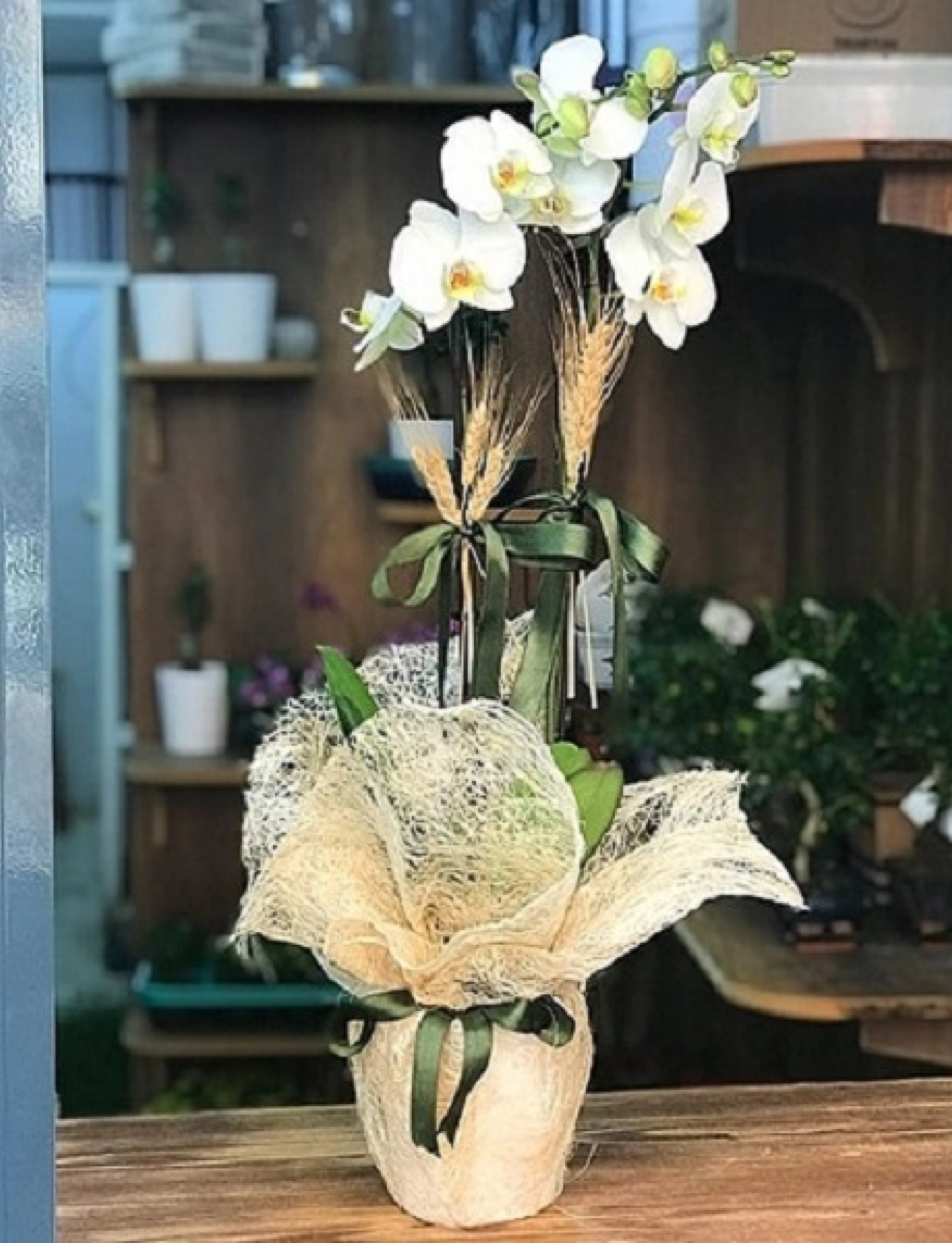 2 dallı beyaz orkide